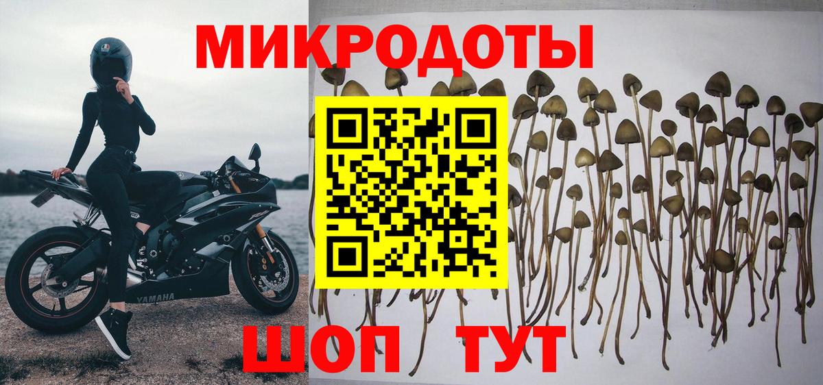 Россия  Галлюциногенные грибы GOLDEN TEACHER  Псилоцибиновые грибы GOLDEN TEACHER  Вход с VPN 