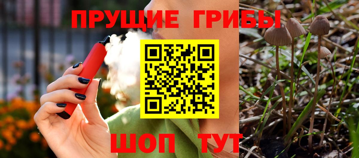Псилоцибиновые грибы Cubensis Россия